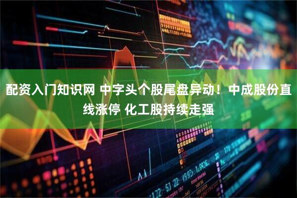 配资入门知识网 中字头个股尾盘异动！中成股份直线涨停 化工股持续走强
