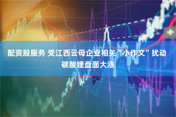 配资股服务 受江西云母企业相关“小作文”扰动 碳酸锂盘面大涨